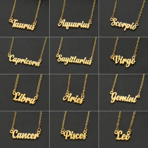 Stainless Steel 12 Zodiac Constellation Necklace for Women Aries Gemini Aquarius Pisces Leo Pendants Necklaces Astrology Jewelry